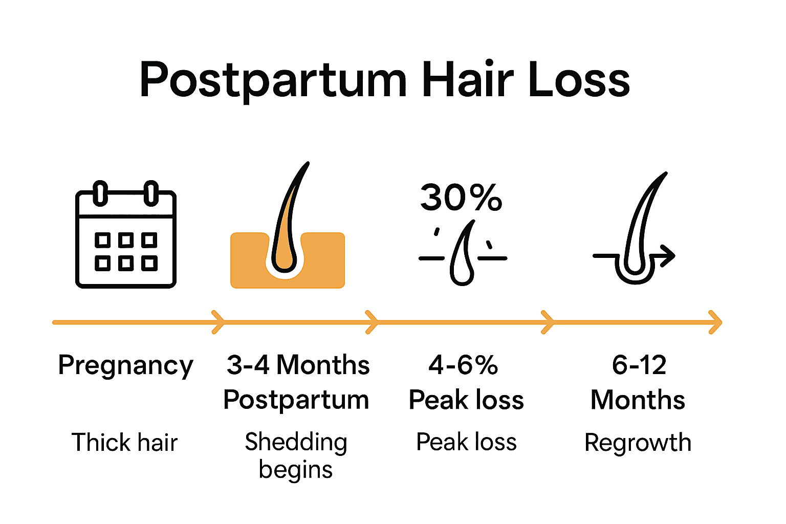Infographic showing postpartum hair loss timeline and progression.