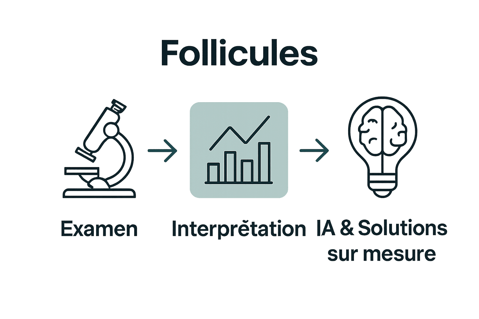 Infographie illustrant l’examen, l’analyse et l’innovation IA pour les follicules pileux