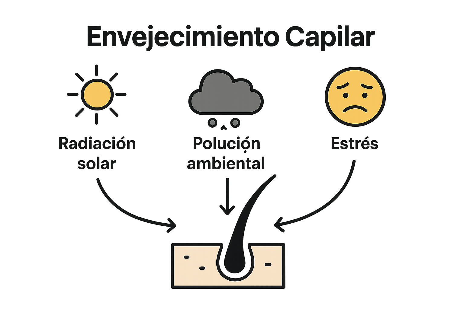 Infografía factores externos envejecimiento cabello