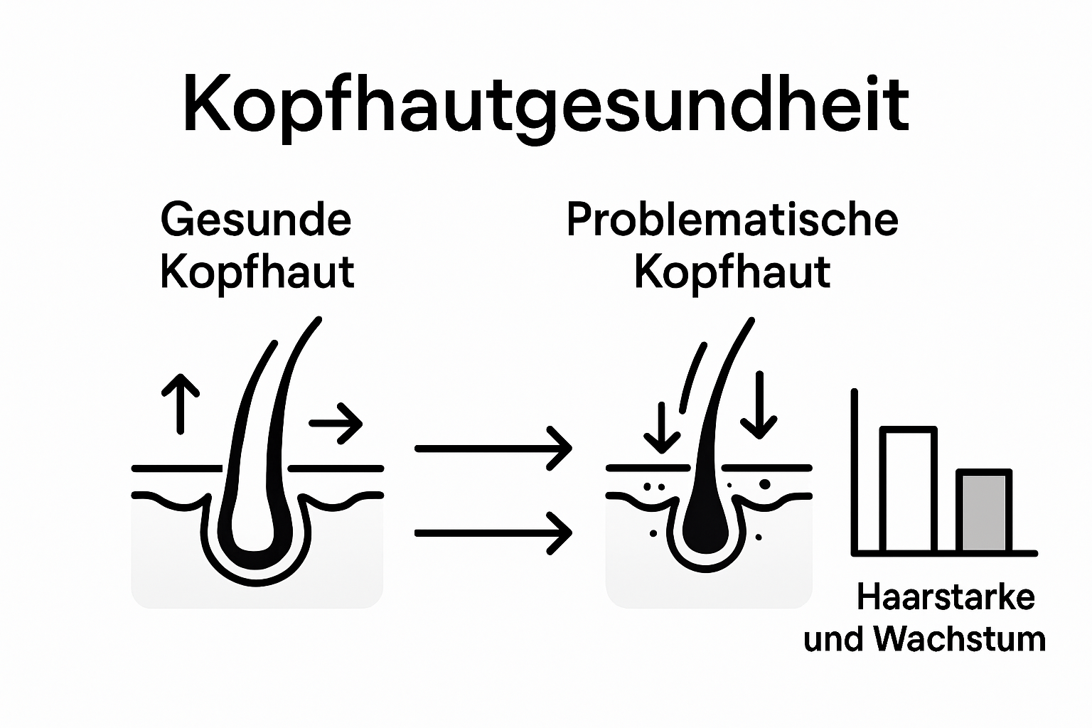 Infografik: Kopfhautprobleme und gesundes Haar – was Sie wissen sollten