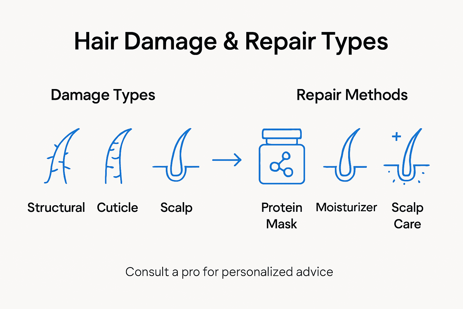 Infographic showing hair damage types and repairs