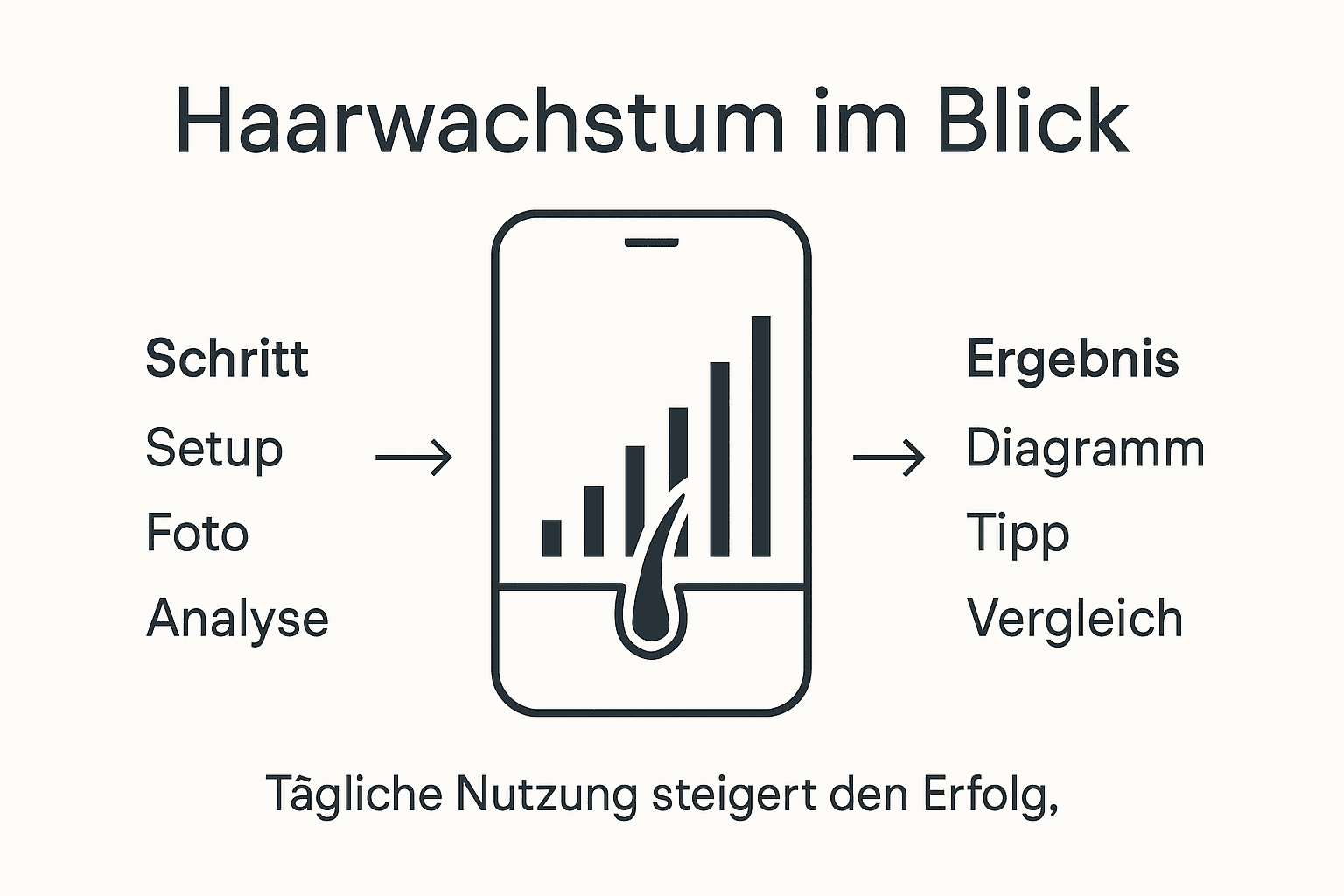 Grafische Übersicht: So entwickeln sich Ihre Haare – Wachstumsphasen und sichtbare Erfolge auf einen Blick