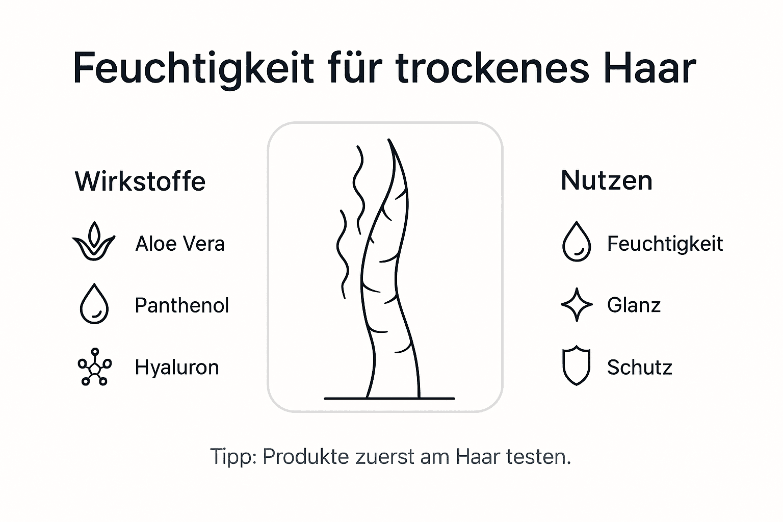Überblick: Die besten Produkte und Tipps für feuchtigkeitsspendende Haarpflege – kompakt als Infografik