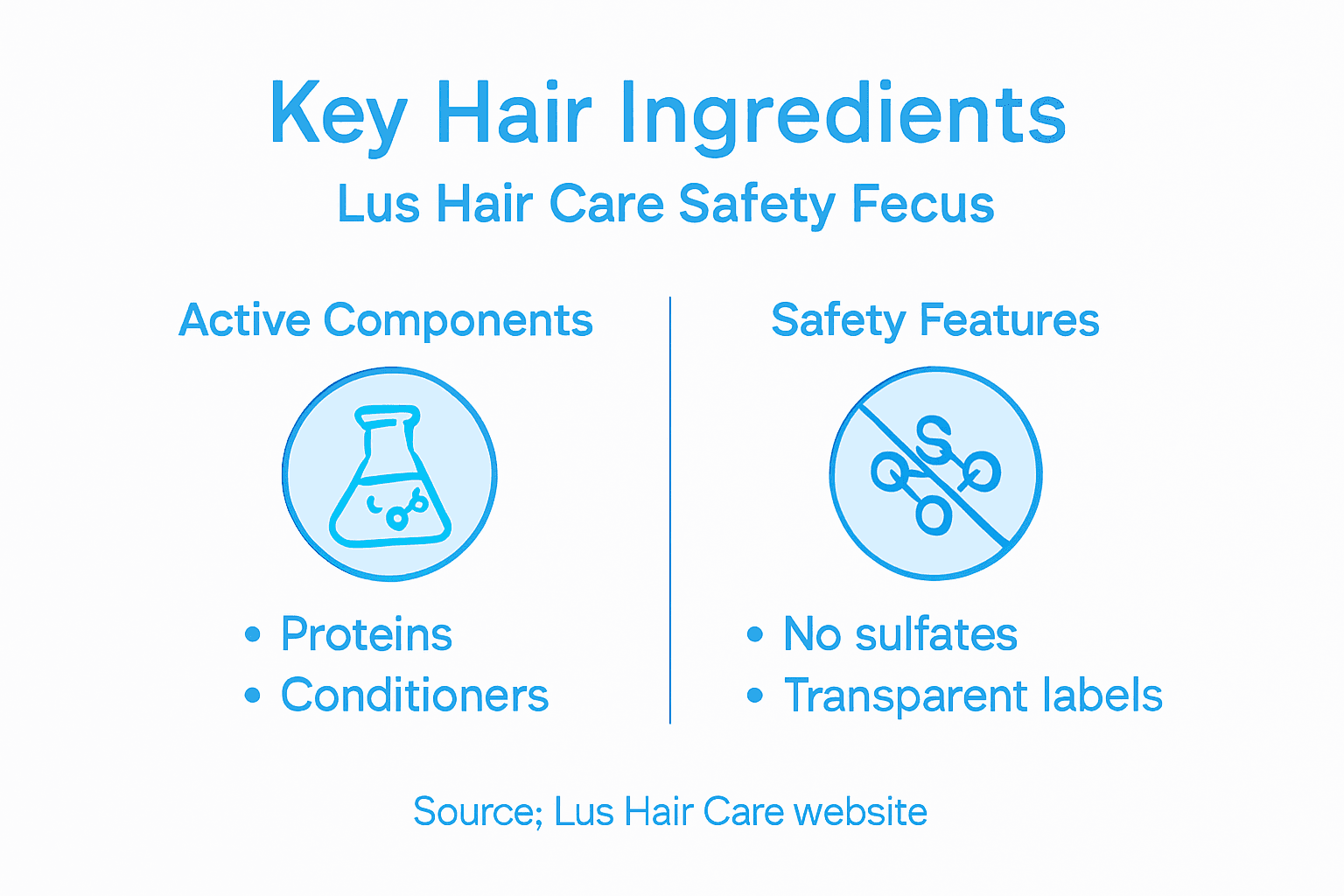 Infographic showing Lus Hair Care ingredient highlights