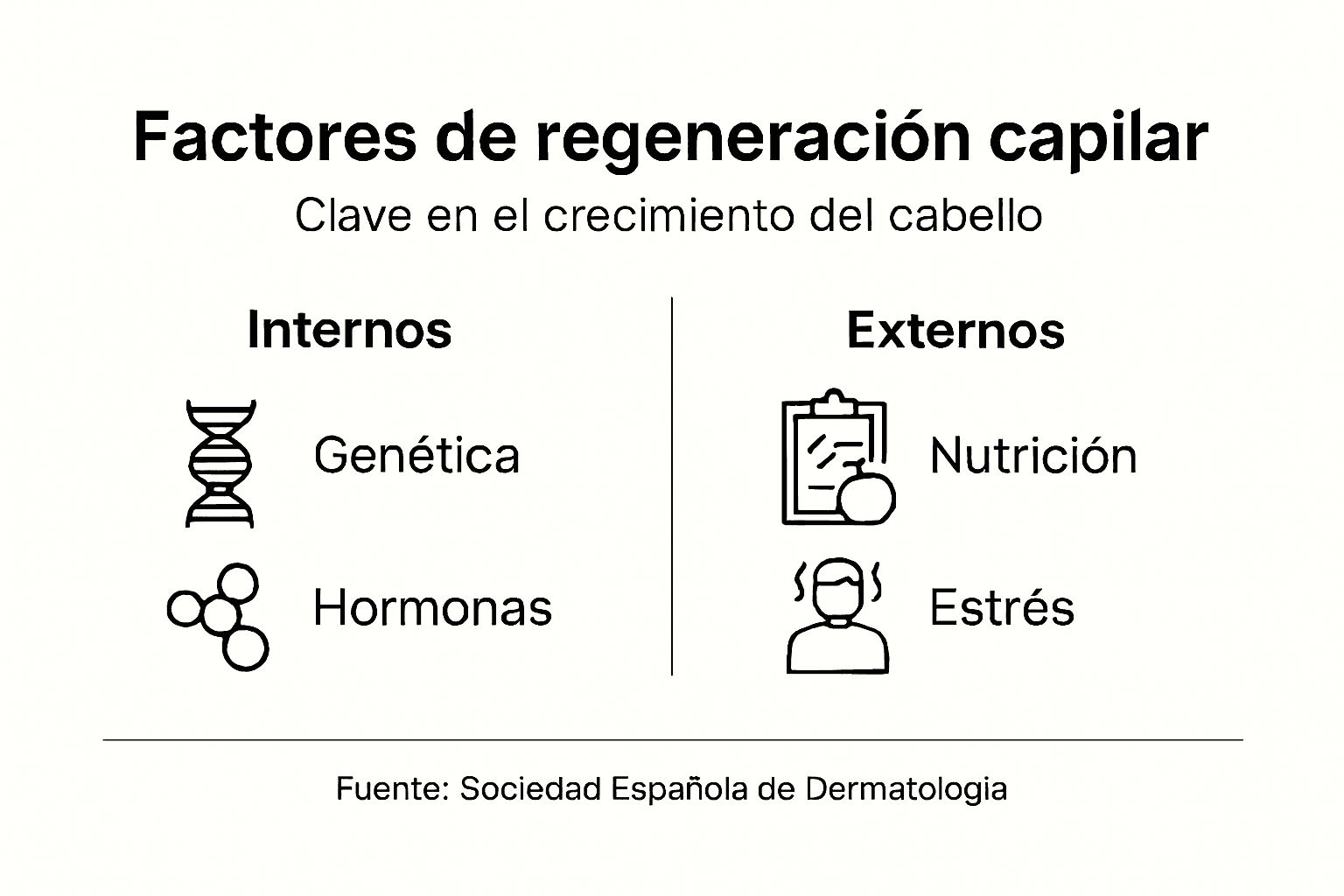Infografía: ¿Qué factores influyen en el crecimiento y la renovación del cabello?
