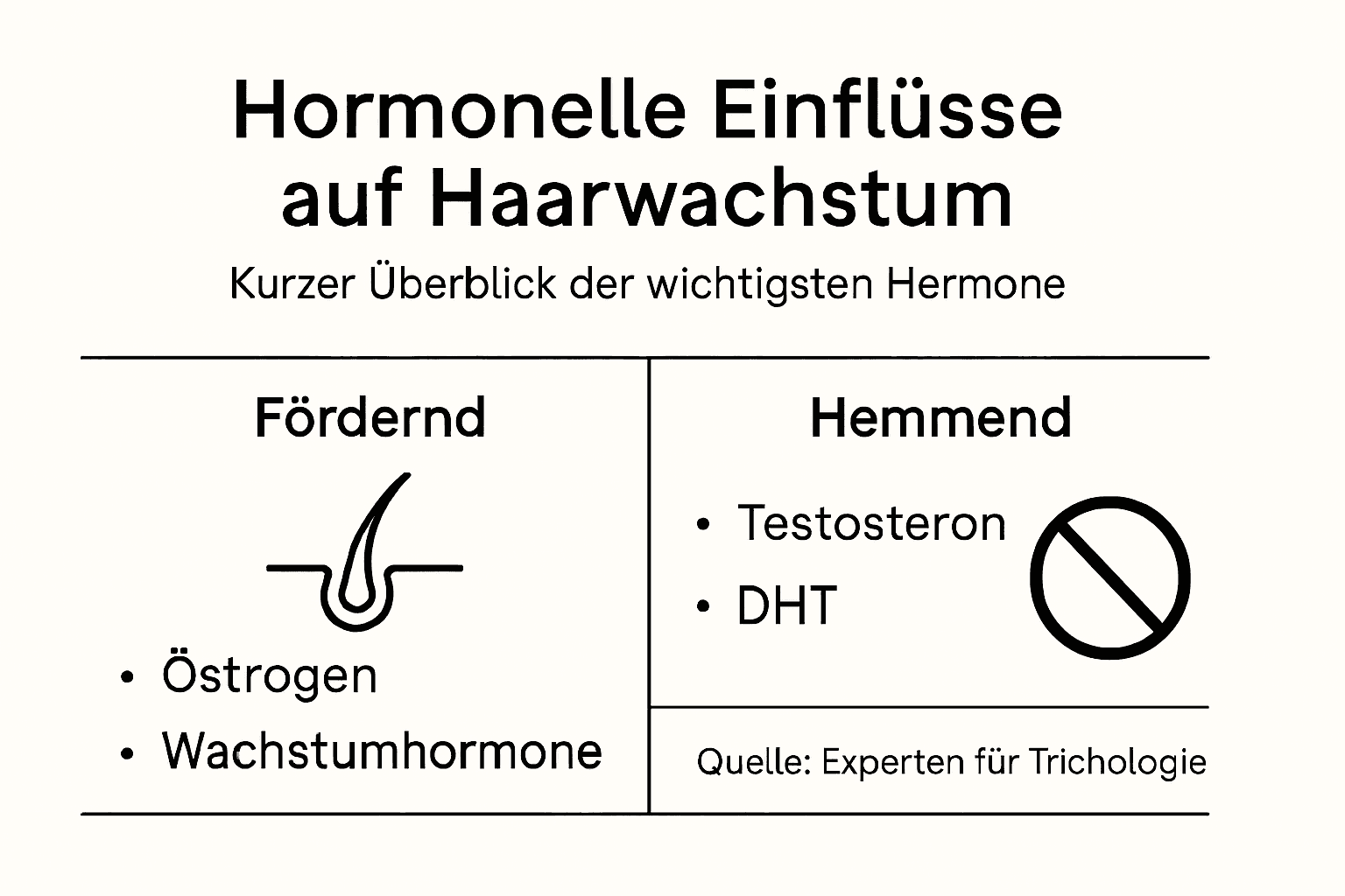 Diese Infografik veranschaulicht, wie Hormone das Haarwachstum beeinflussen.