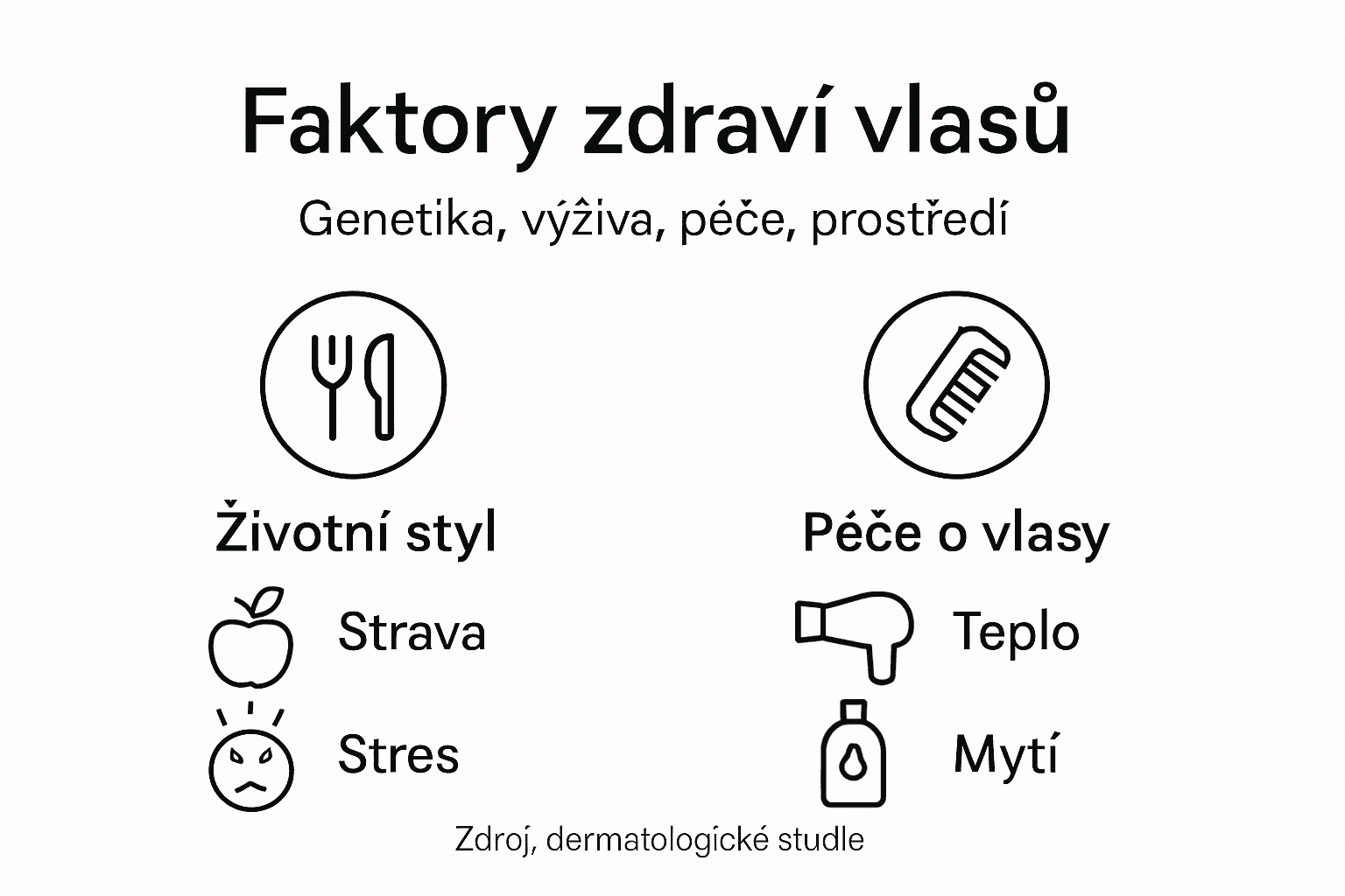 Infografika: Co ovlivňuje zdraví našich vlasů