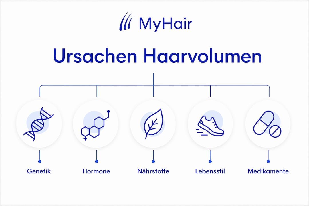 Eine Infografik veranschaulicht die verschiedenen Ursachen für den Verlust von Haarvolumen und stellt diese übersichtlich in einer Hierarchie dar.