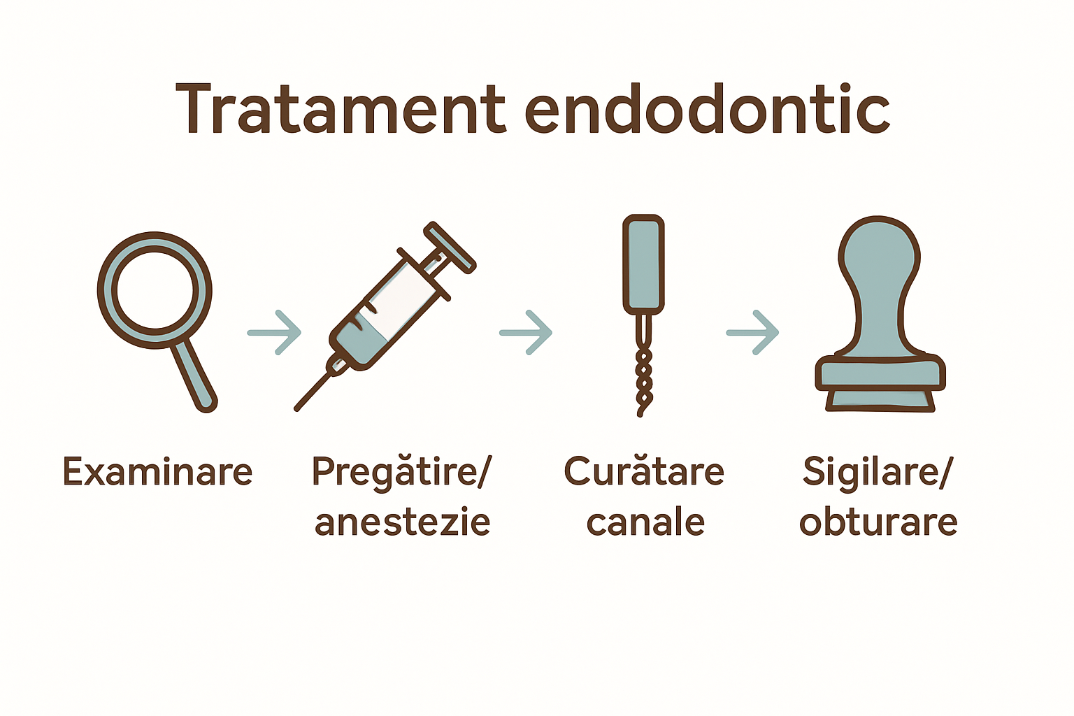 Infografic cu pașii principali ai tratamentului endodontic