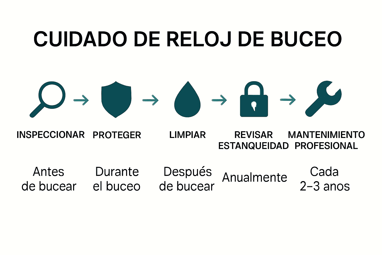 Infografía con cinco pasos para proteger un reloj de buceo del agua salada