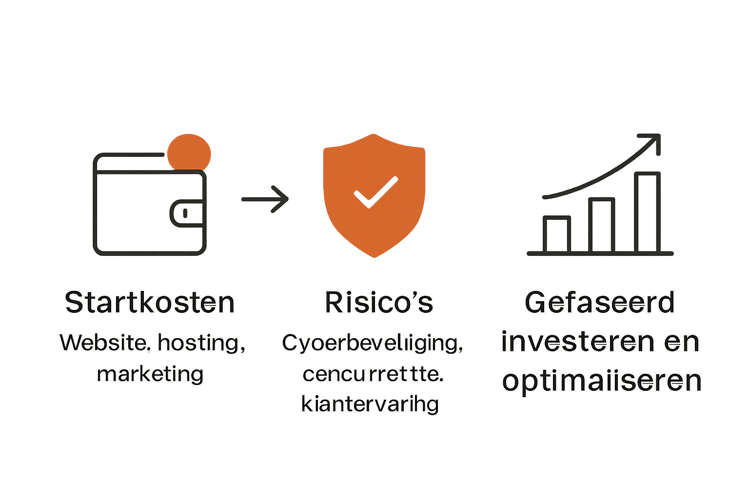 Infographic met kosten, valkuilen, groeistappen webshop