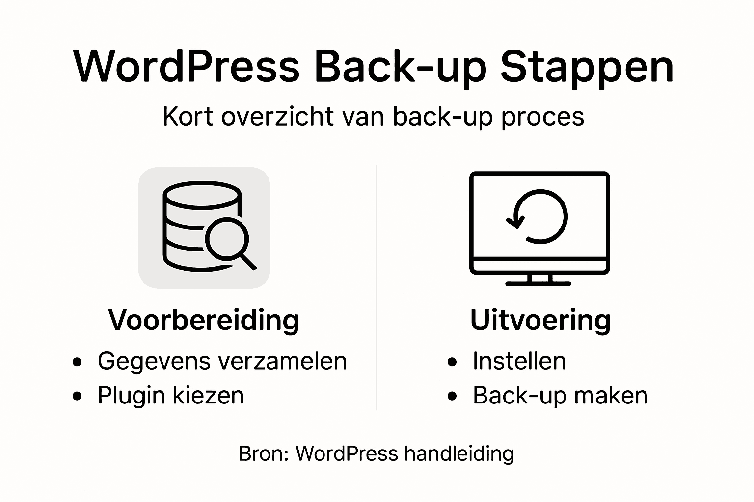 Infographic: overzicht van het WordPress backupproces