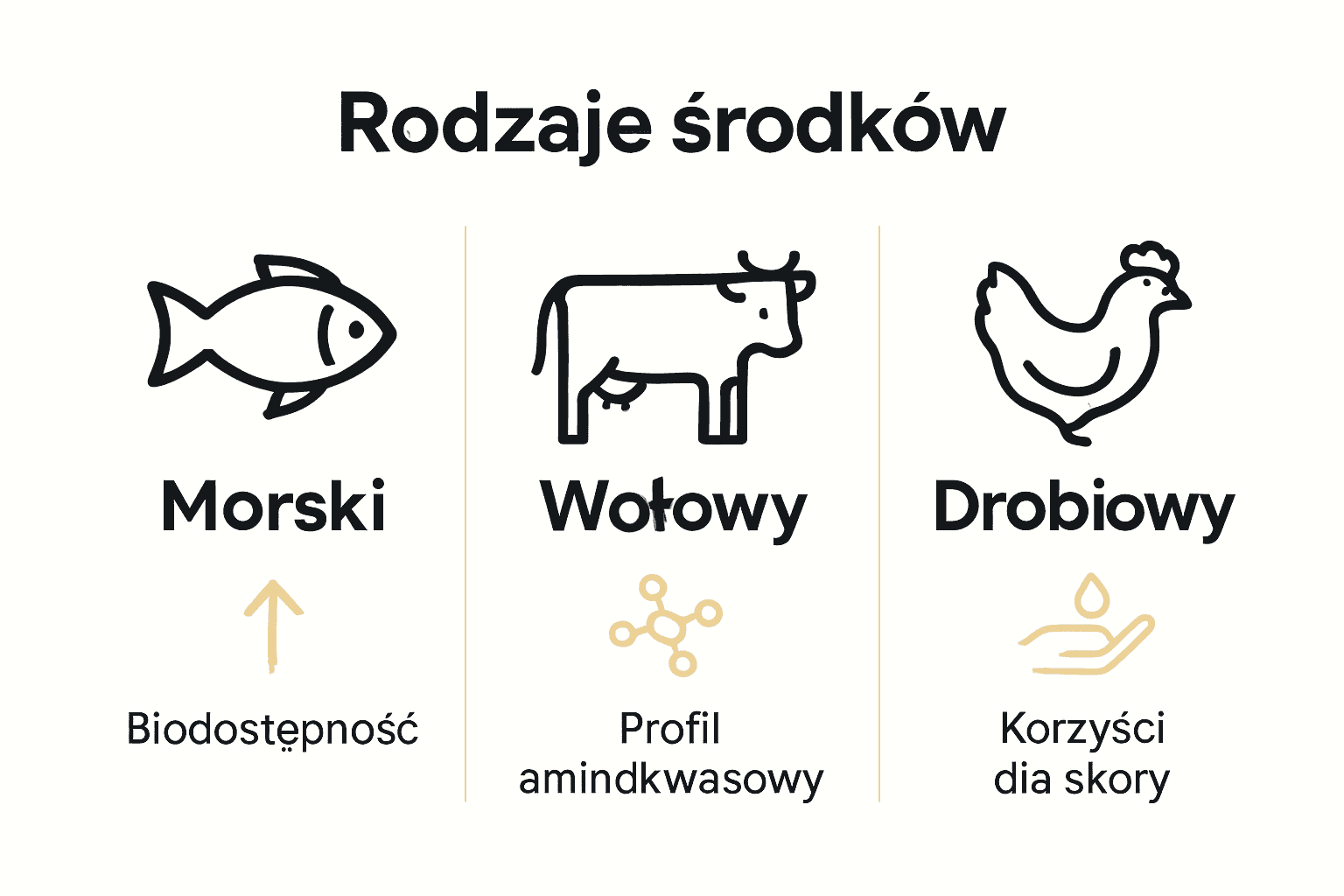 Porównanie biodostępności trzech źródeł kolagenu