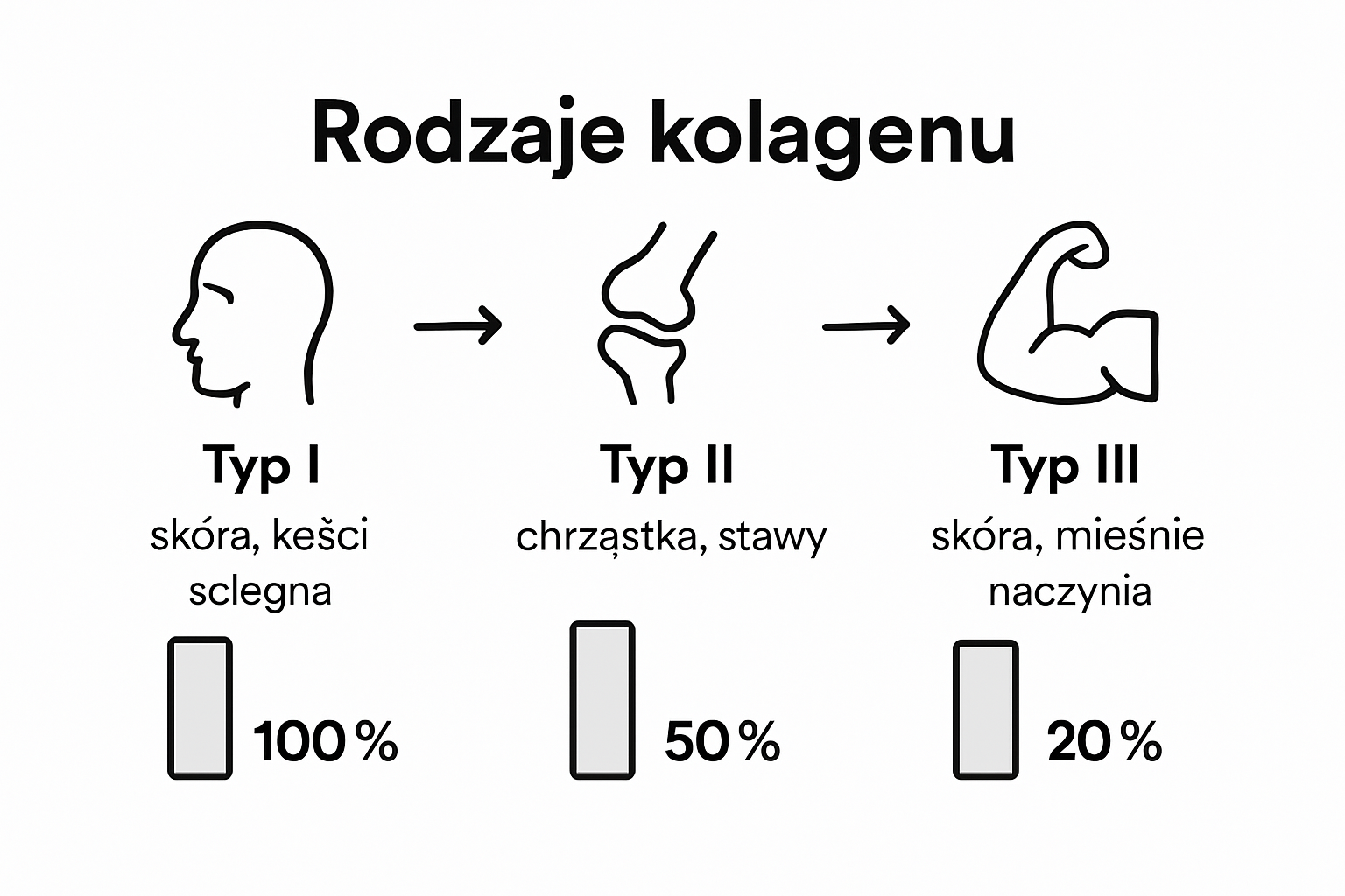 Infographic comparing collagen types and roles