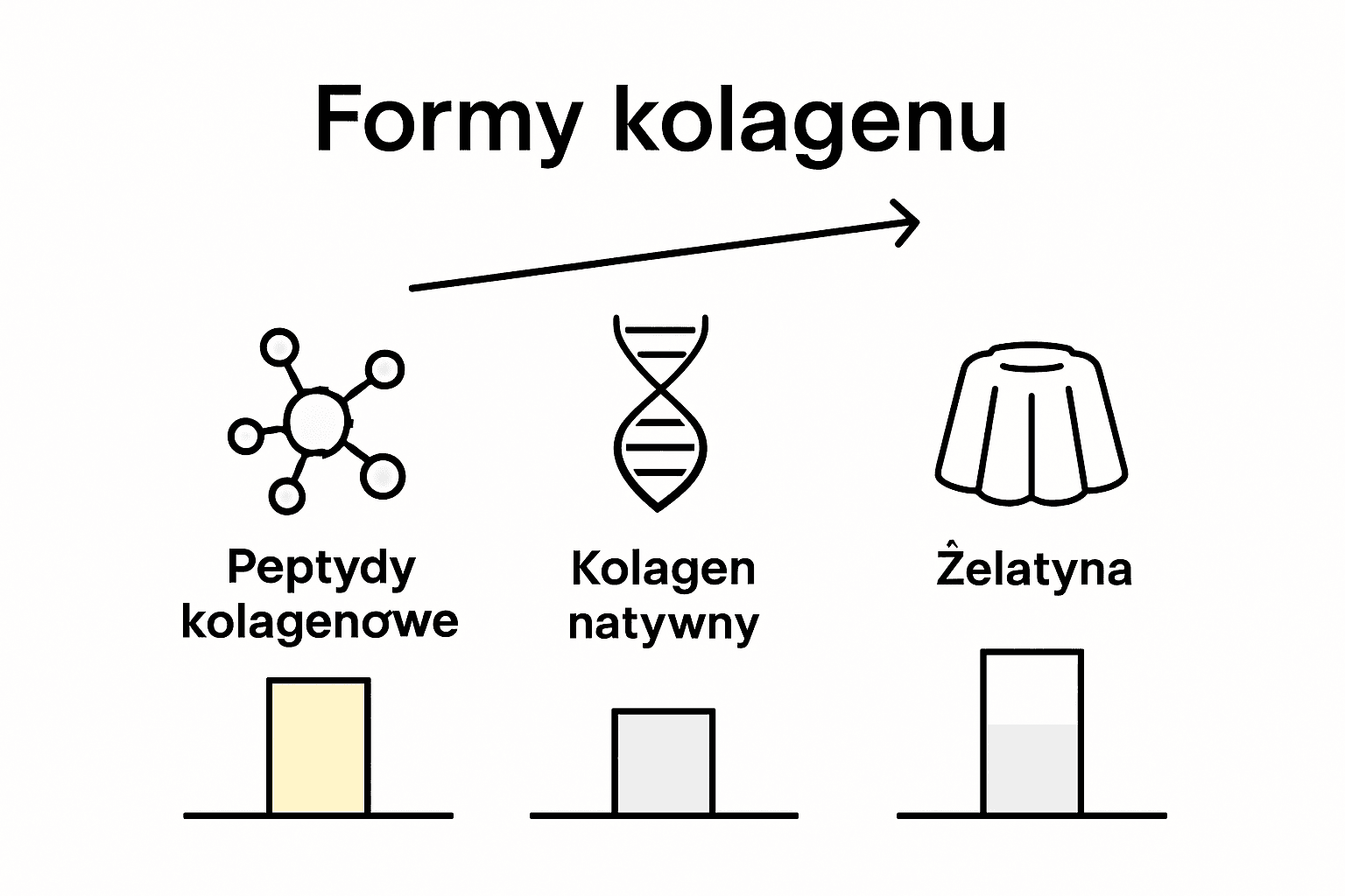 Infografika: rodzaje peptydów kolagenowych i ich przyswajalność
