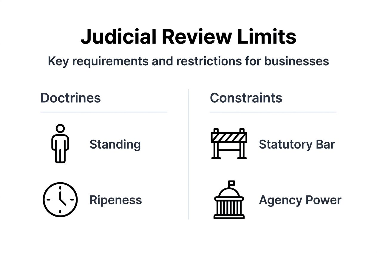 Infographic summarizing business judicial review limits