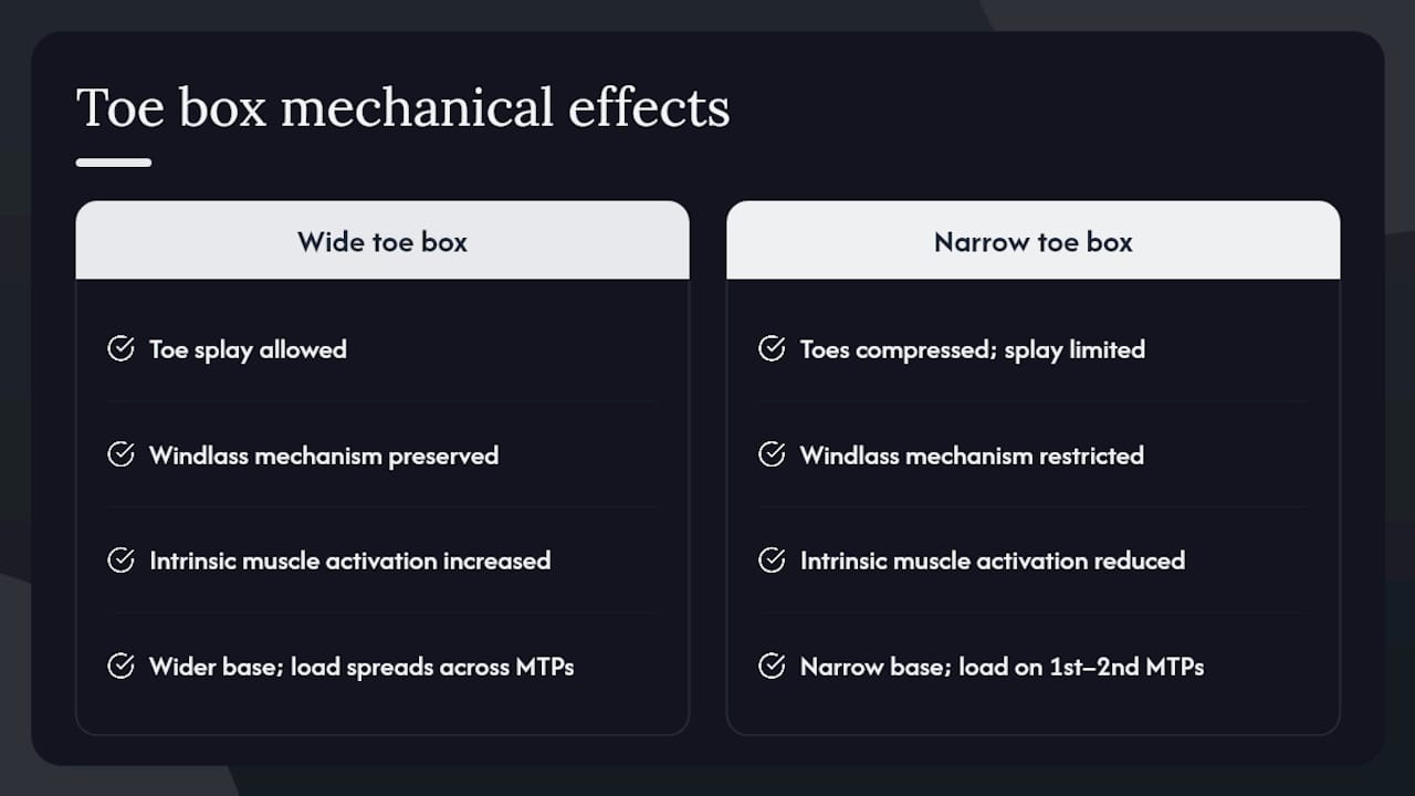 How a wider toe box changes your foot mechanics — overview diagram