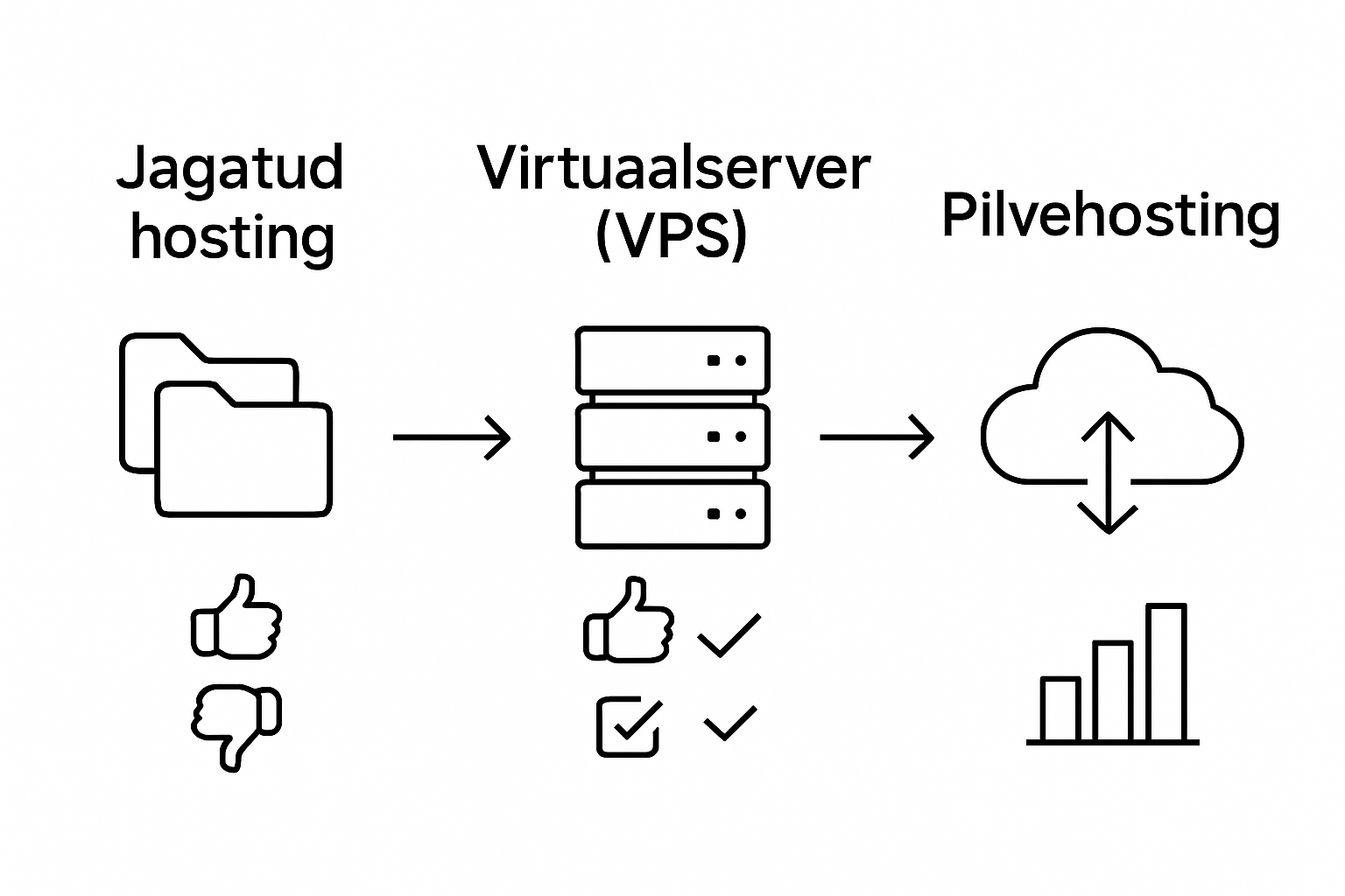 Infograafik: erinevate Eesti veebimajutuse tüüpide võrdlus