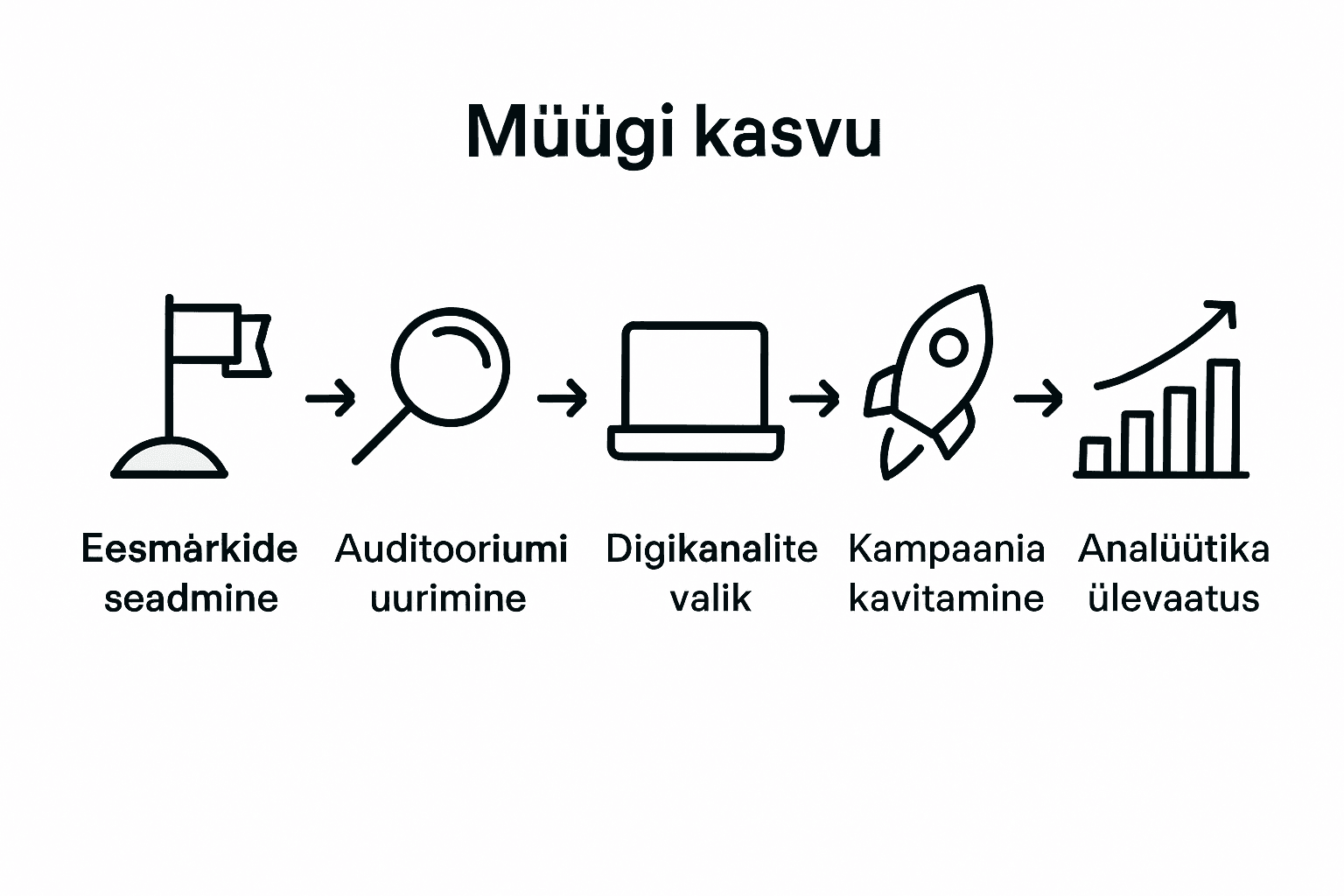 Veebiturunduse protsessi viie sammu ülevaatlik infograafik