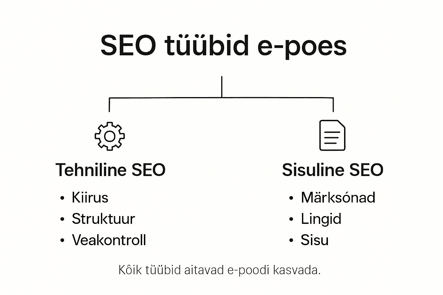 SEO põhitüüpide ülevaatlik infograafik e-poe jaoks
