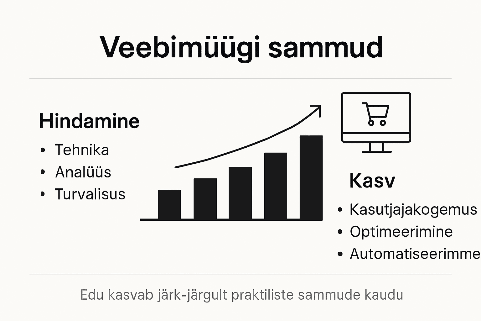 Visuaalne ülevaade veebimüügi etappidest ja arengust
