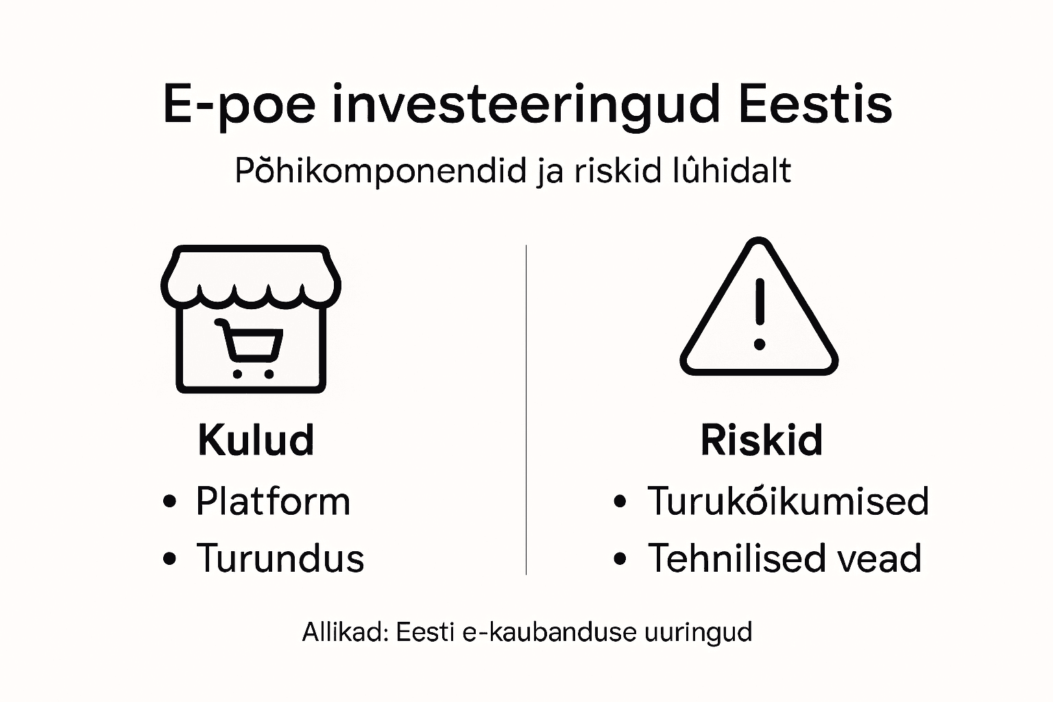 E-poe loomisega seotud investeeringud ja ohud: ülevaatlik infograafik