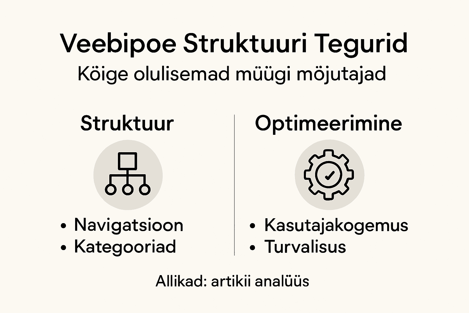Infograafik peamistest teguritest, mis mõjutavad veebipoe müügi edukust