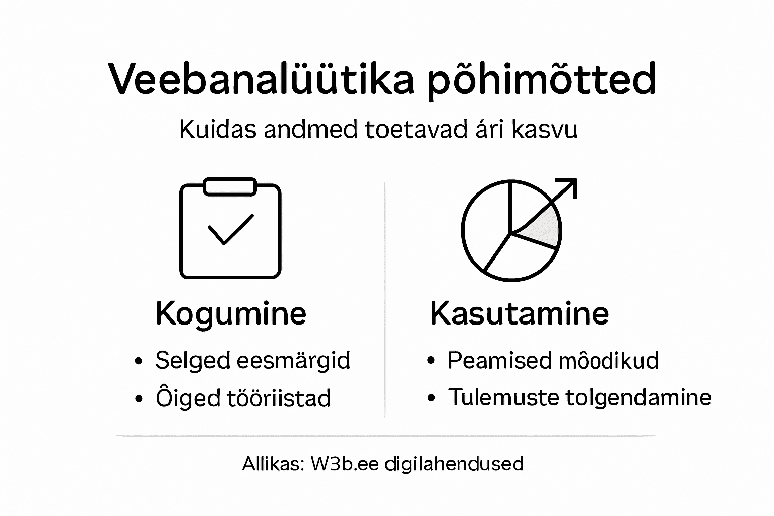 Veebianalüütika põhialuseid tutvustav infograafik