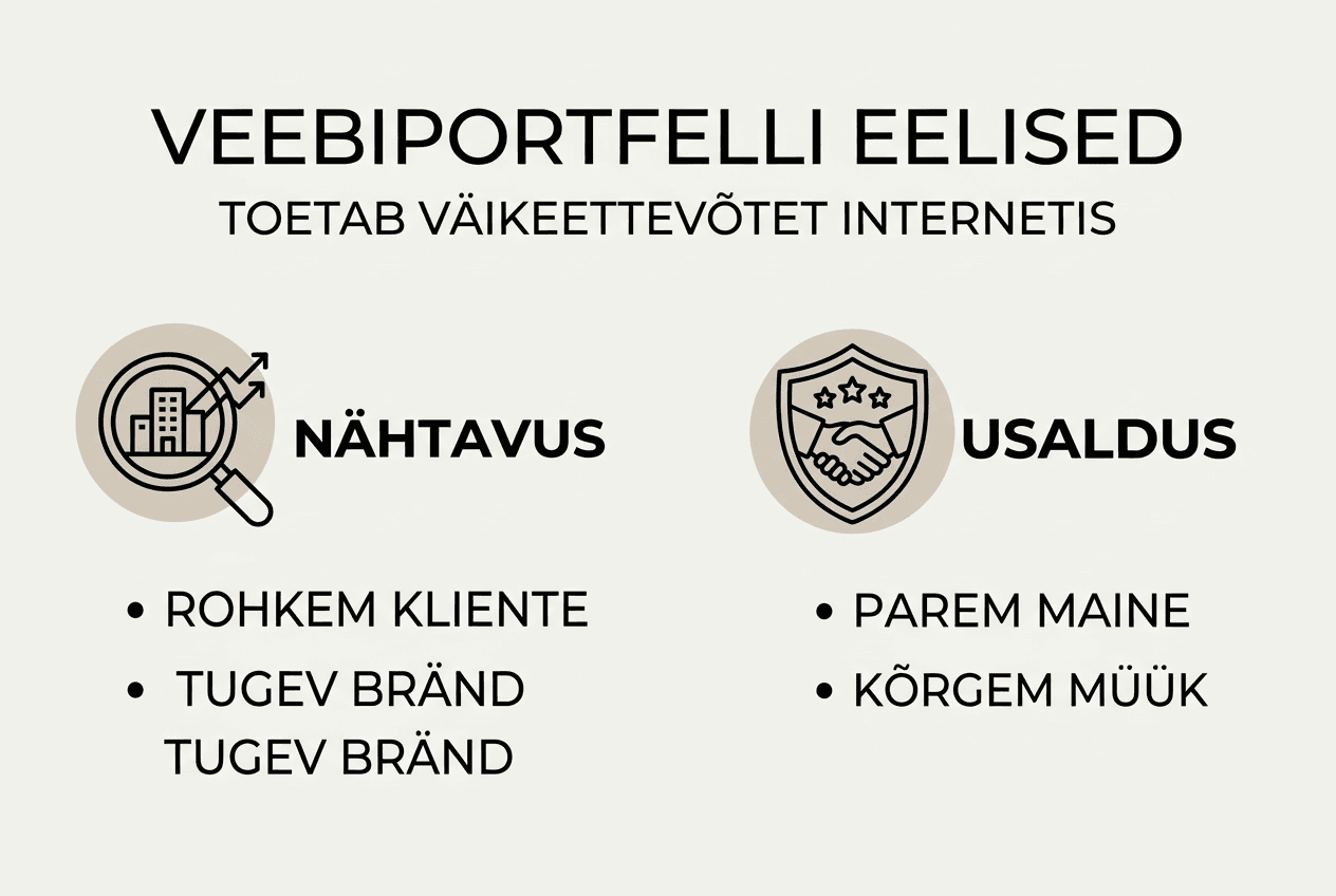 Infograafik: veebiportfelli suurimad plussid