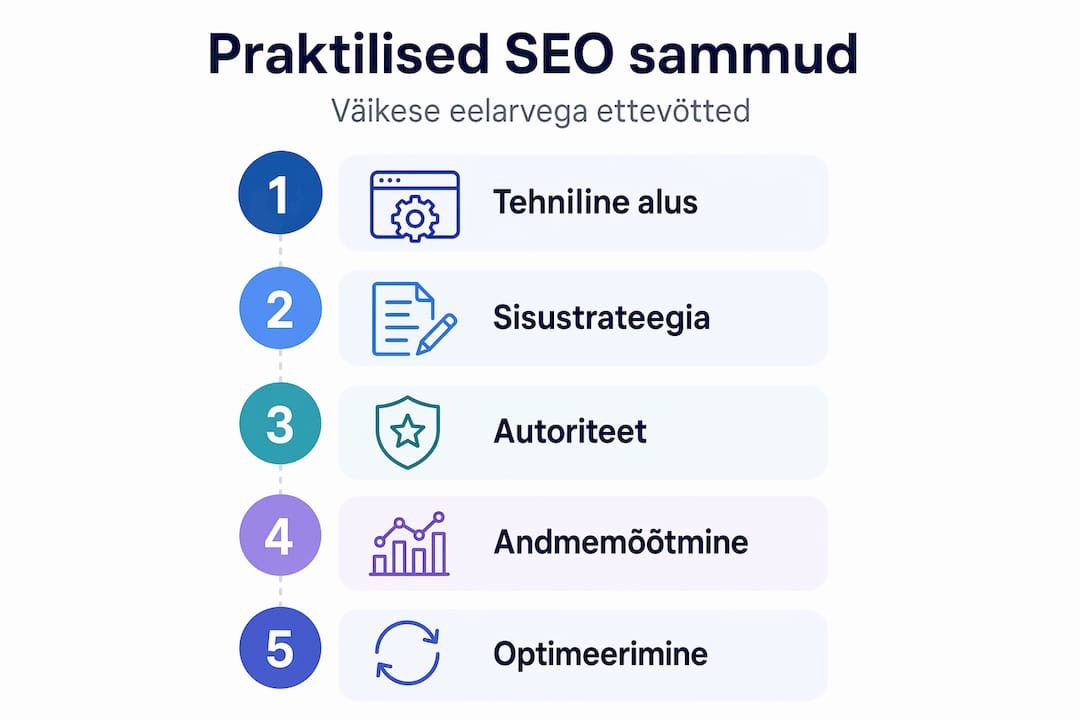 Infograafik: taskukohased SEO nipid ja võimalused väikese eelarvega ettevõttele