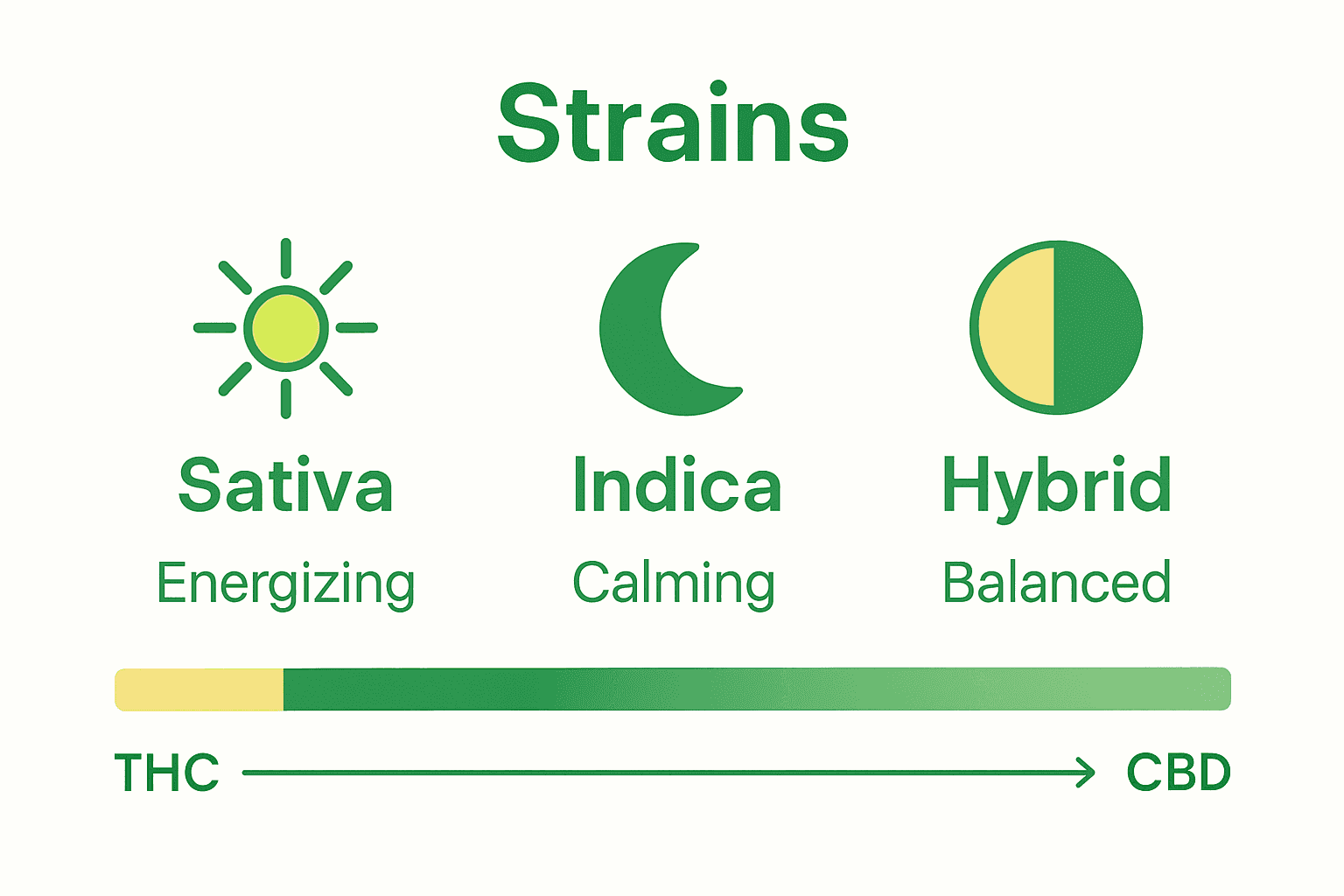 Infographic comparing Sativa, Indica, and Hybrid THC drink strains with icons and key differences.
