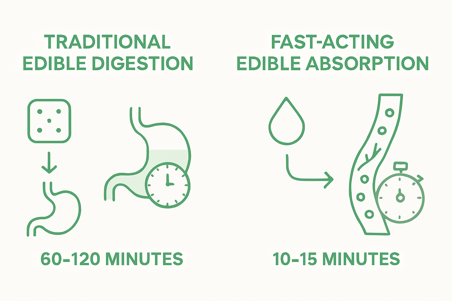 Infographic comparing traditional and fast-acting THC edibles