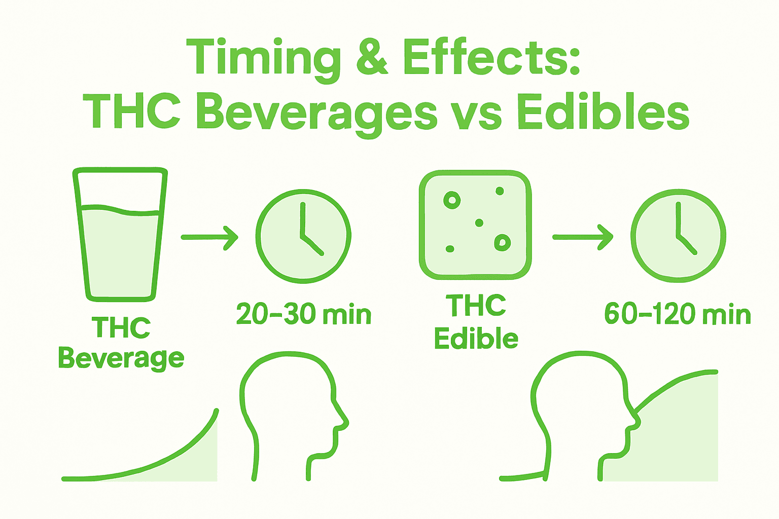 Infographic comparing onset times for THC drinks and edibles