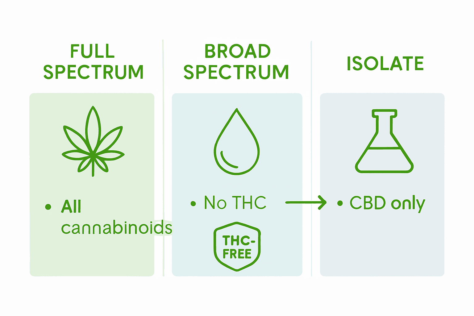 Infographic comparing CBD extraction types