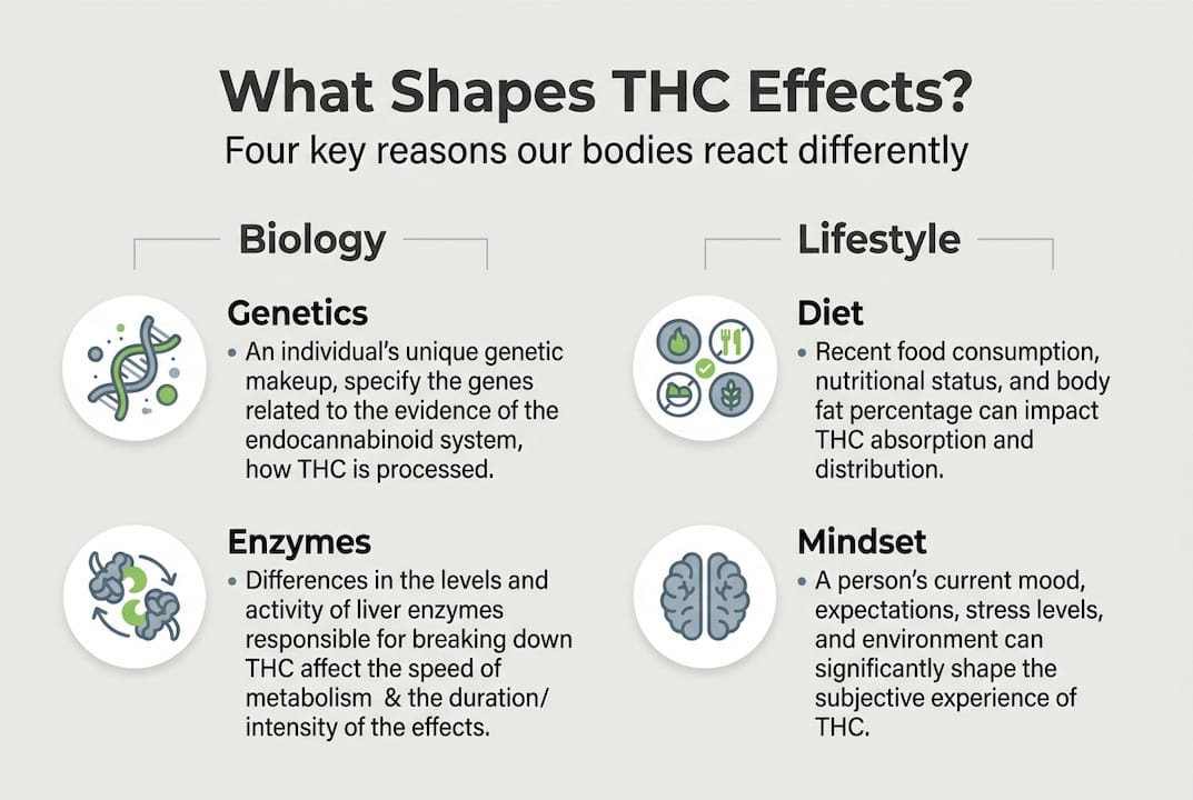 Infographic key reasons THC effects vary