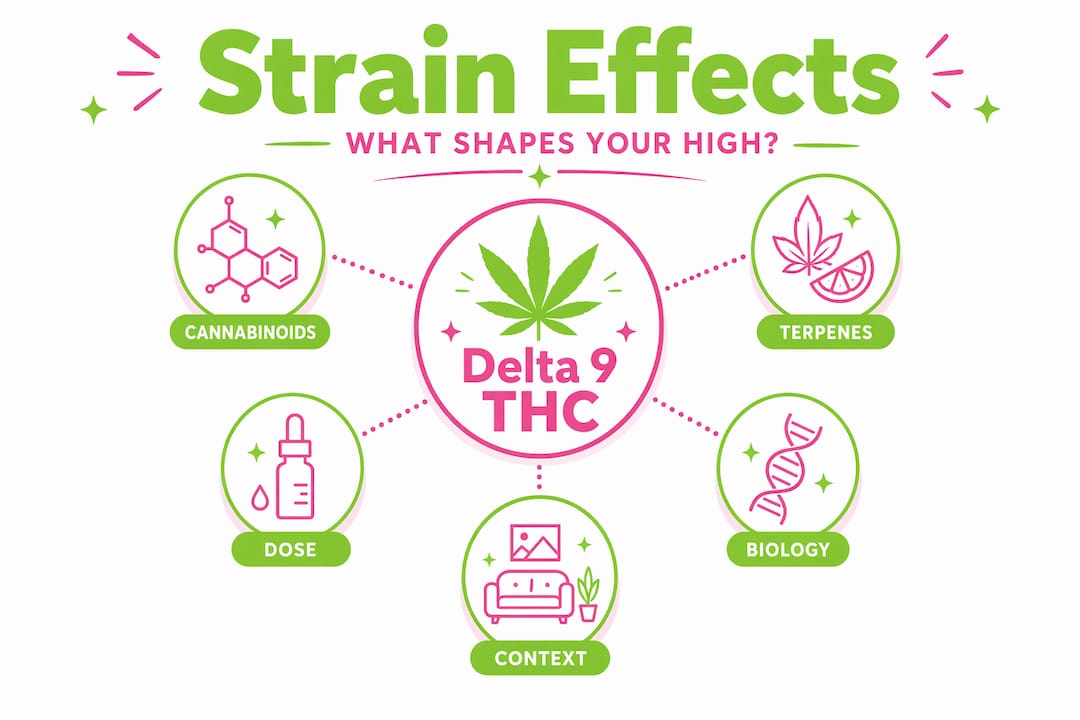 Infographic showing factors shaping THC strain effects