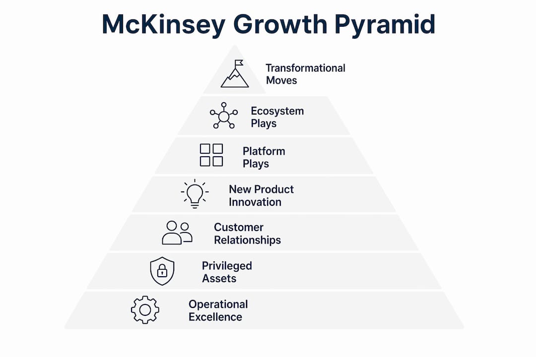 Infographic showing McKinsey Growth Pyramid tiers