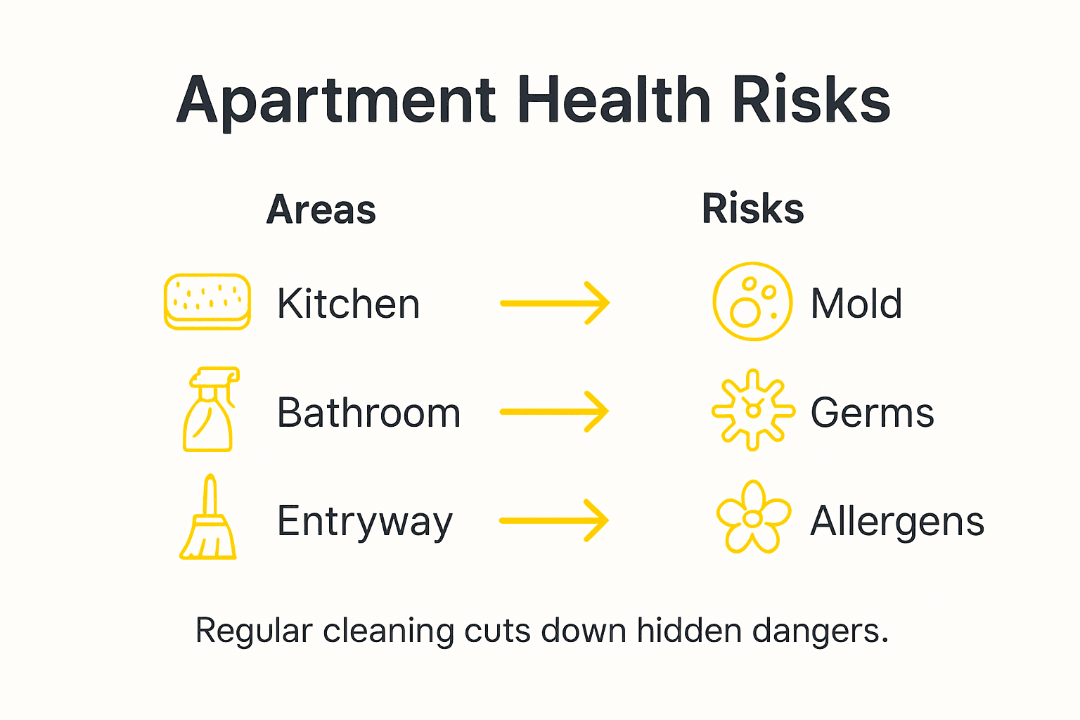 Infographic showing key apartment cleaning risks and zones