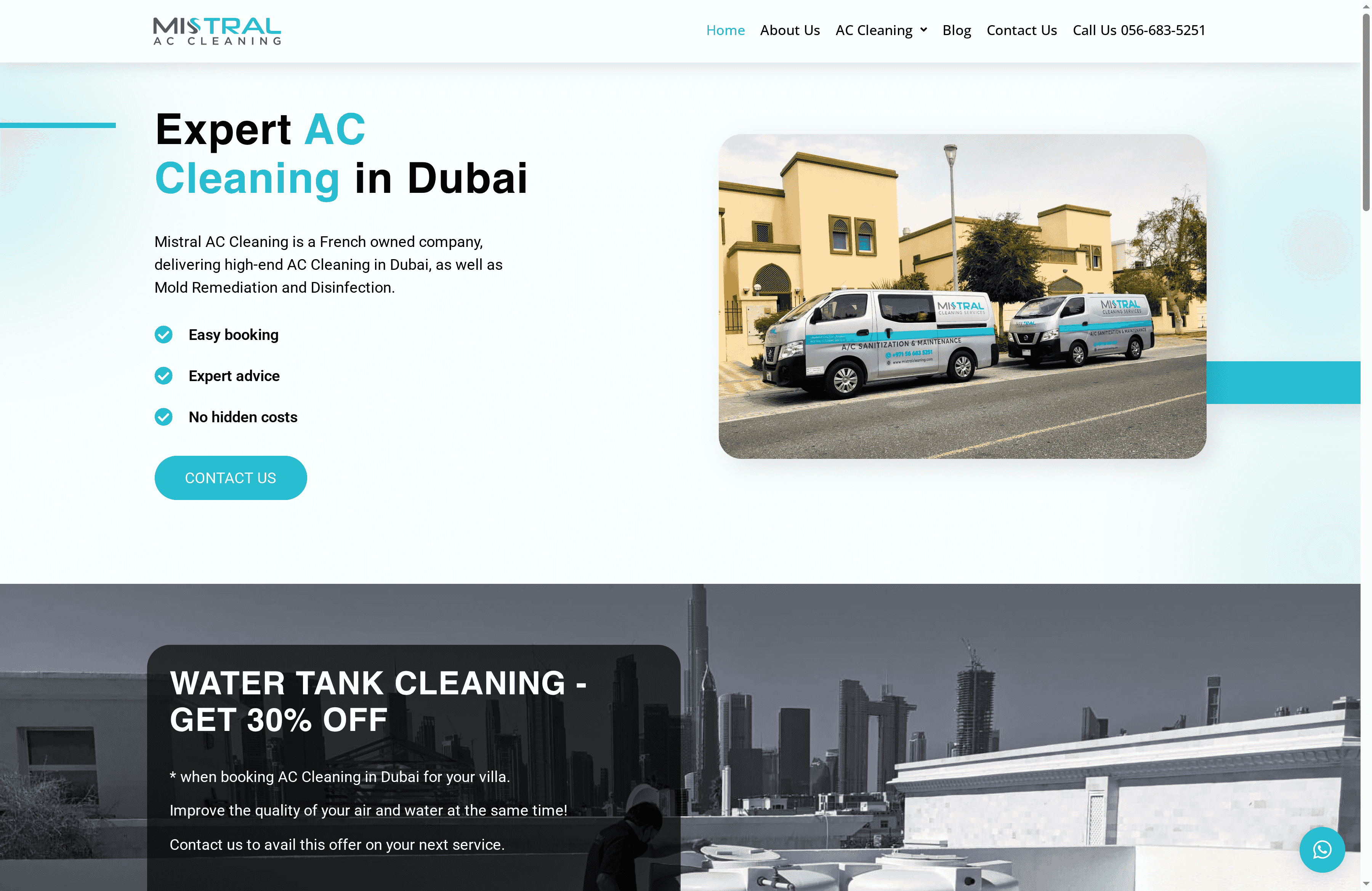 mold removal services for homes uae