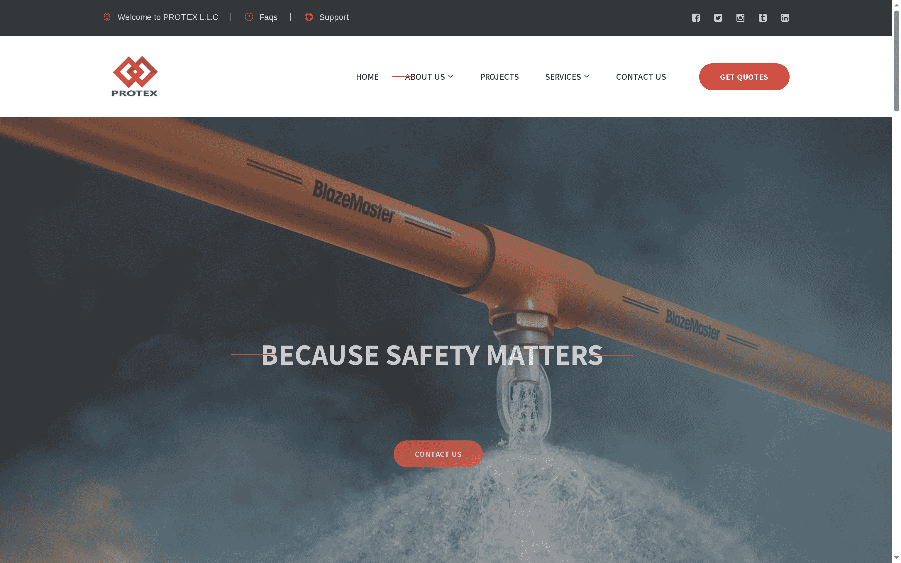 mold removal services for homes uae