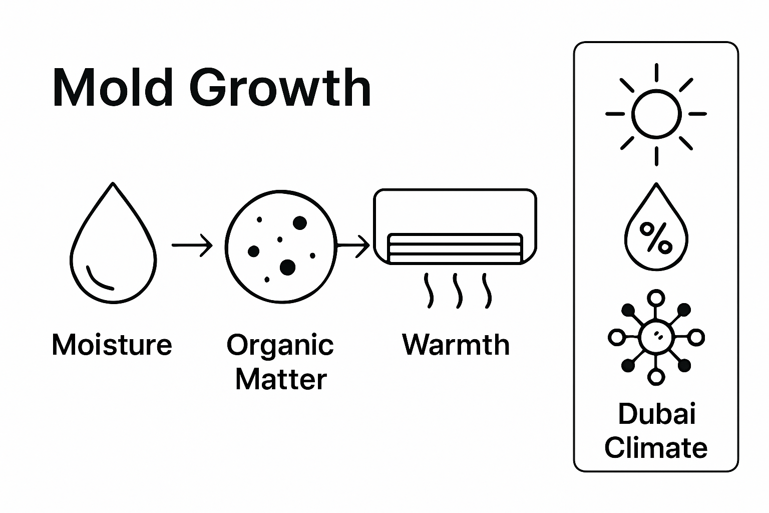 what causes mold in ac