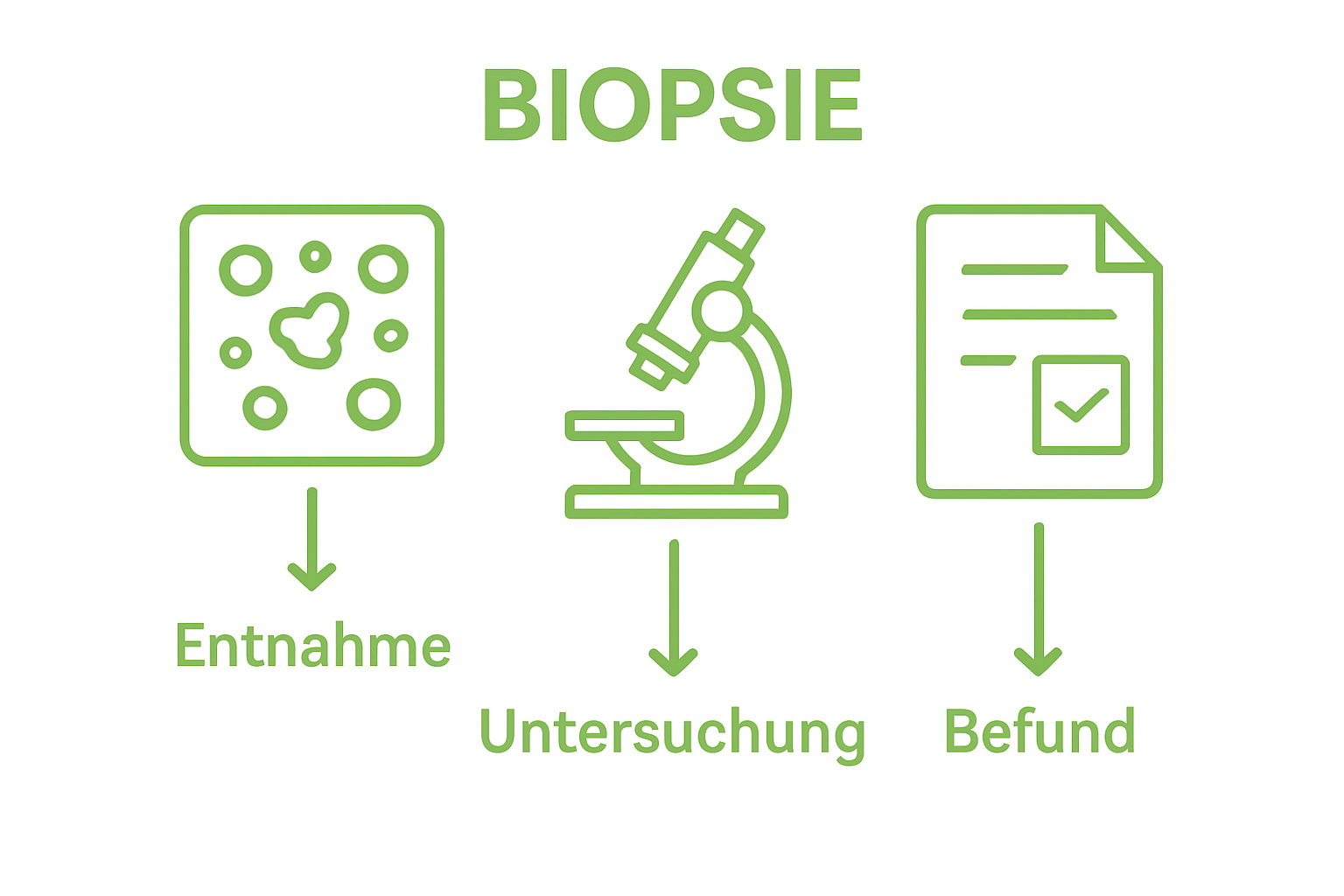Grafik zum Ablauf eines pathologischen Befundprozesses
