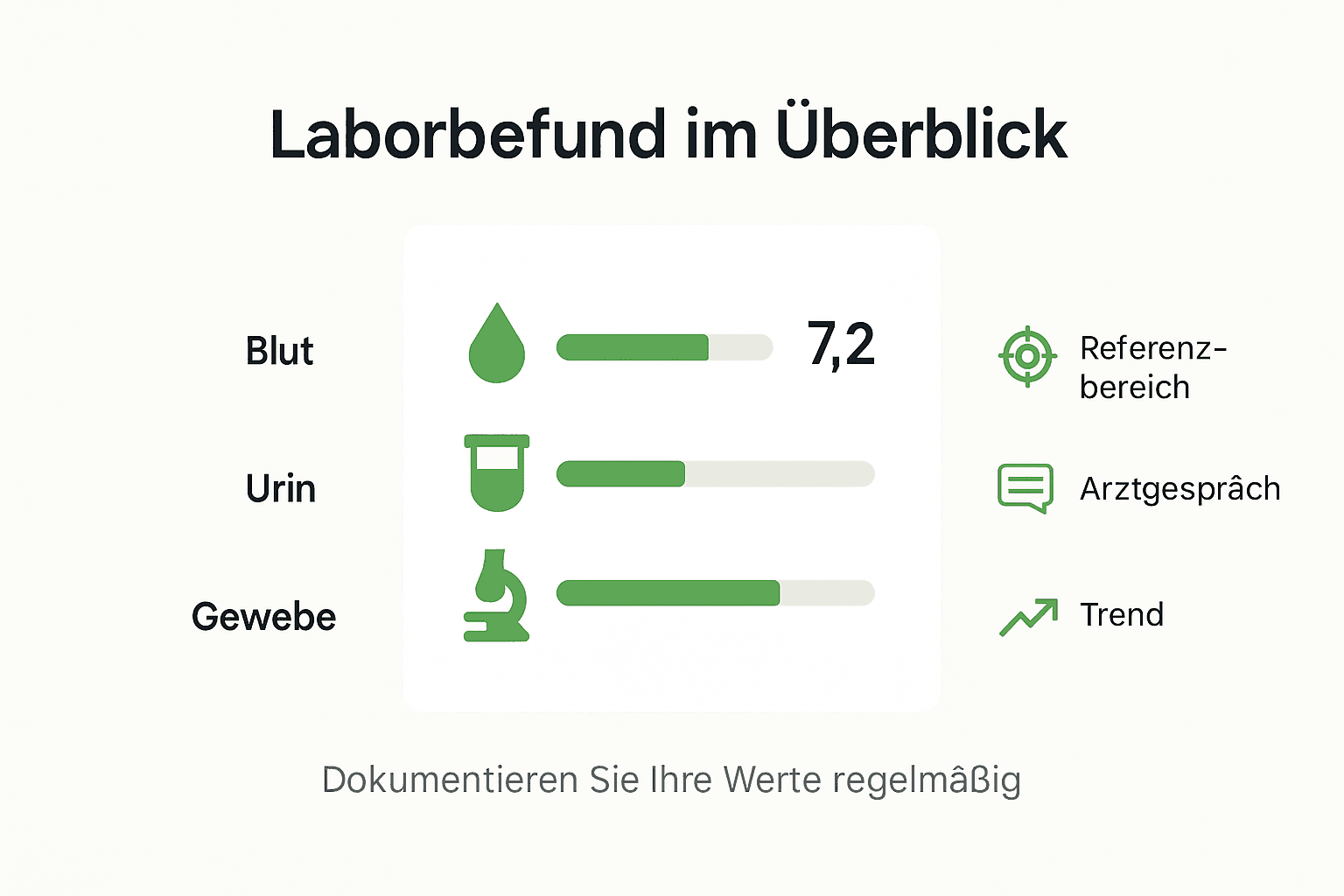 Infografik: Wichtige Begriffe und Zusammenhänge im Laborbefund auf einen Blick
