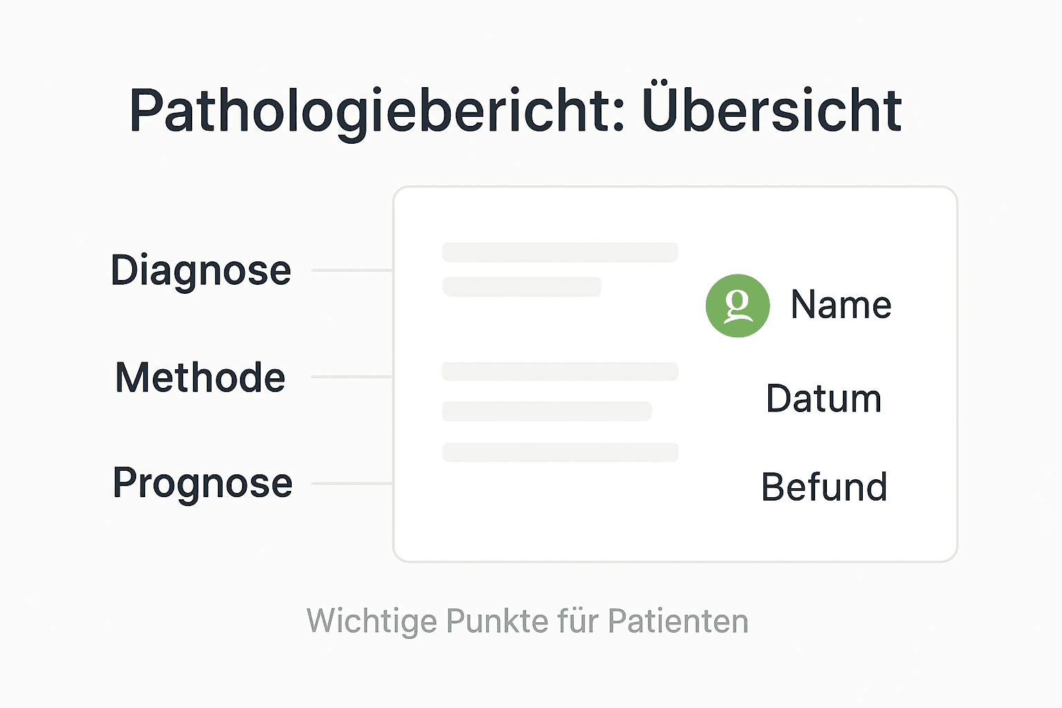 Die Infografik bietet einen übersichtlichen Einblick in die wichtigsten Daten des Pathologieberichts.