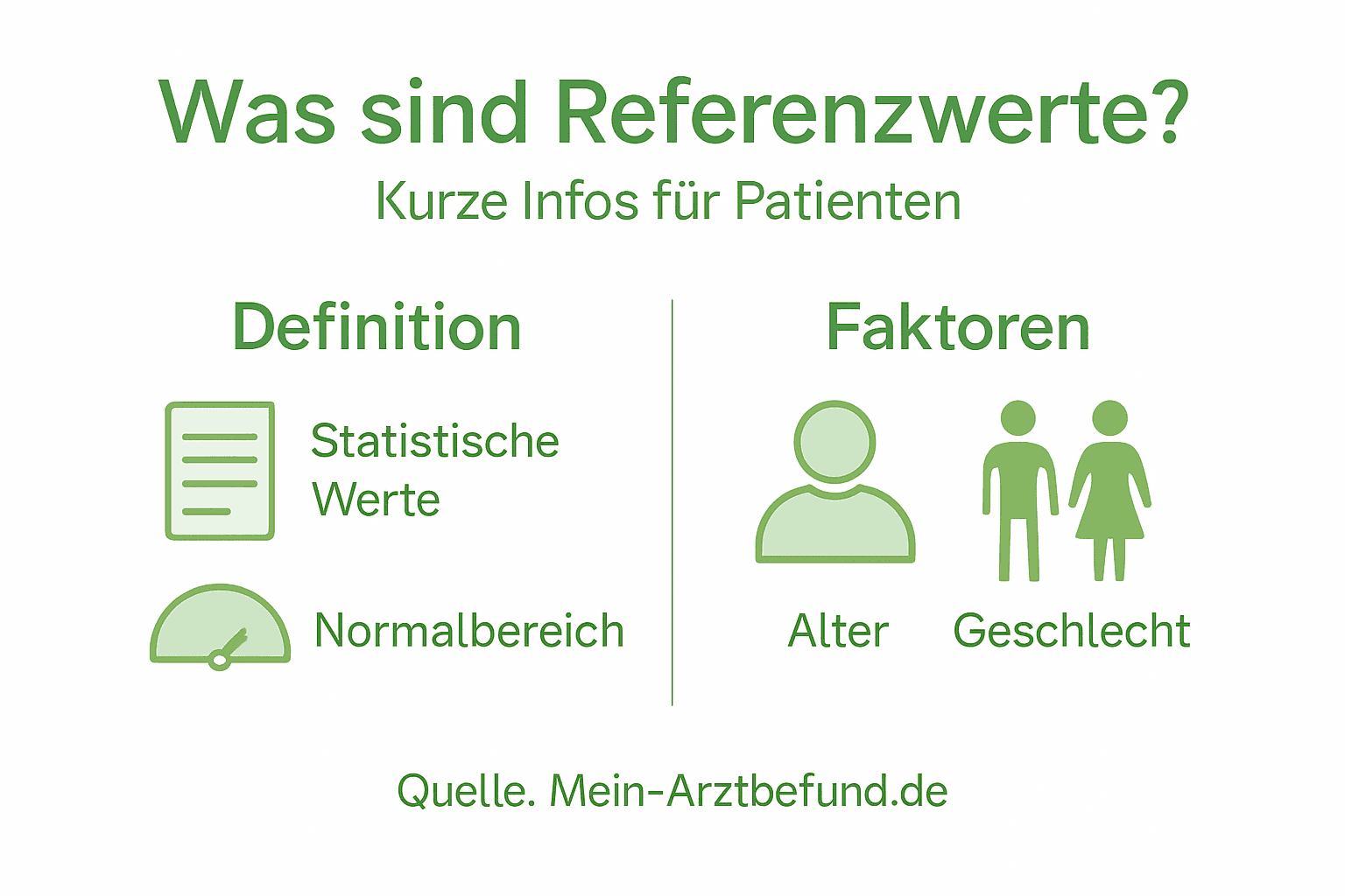 Übersichtsgrafik mit den wichtigsten Begriffen und Themenbereichen