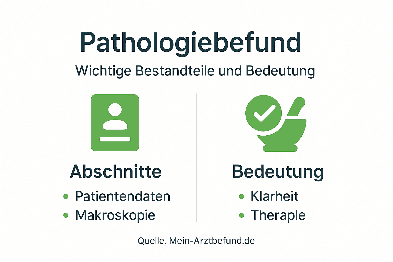 Diese Infografik veranschaulicht, wie ein Pathologiebefund aufgebaut ist und welche Rolle er für die Diagnose und Behandlung spielt.