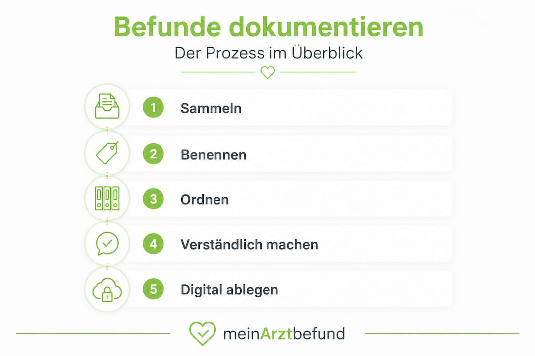 Übersicht: So gelingt die Befunddokumentation in 5 einfachen Schritten