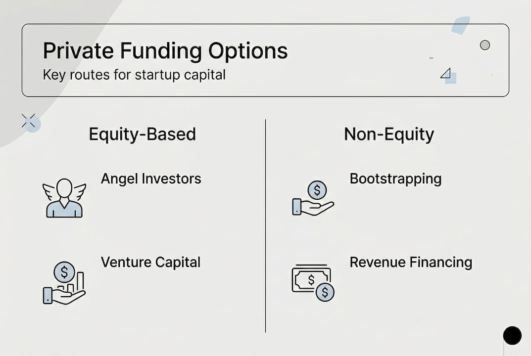 Infographic showing private funding option types