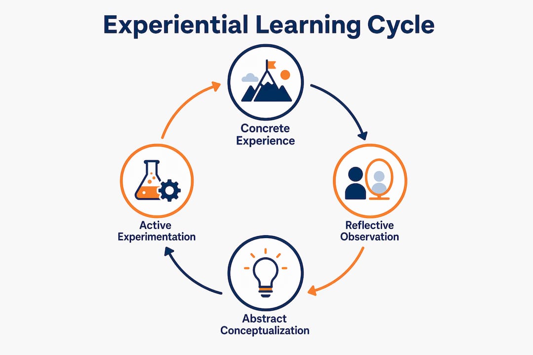 Infographic illustrating Kolb's experiential learning cycle stages