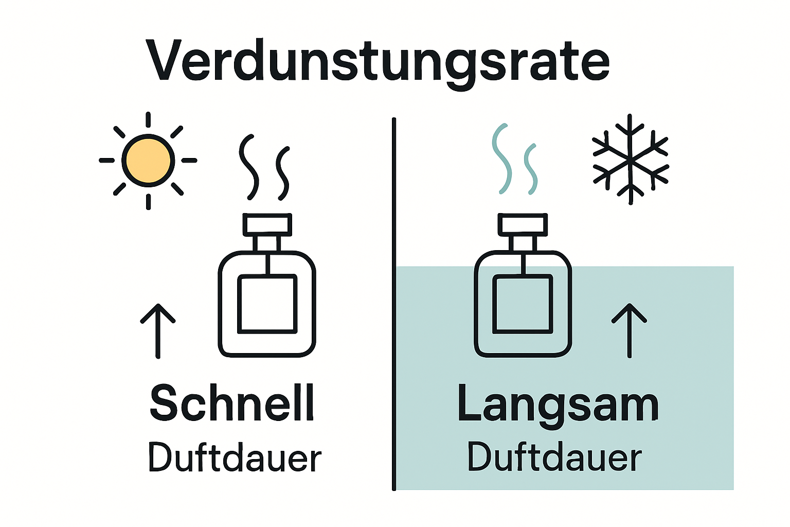Perfume evaporation rate in summer vs winter infographic